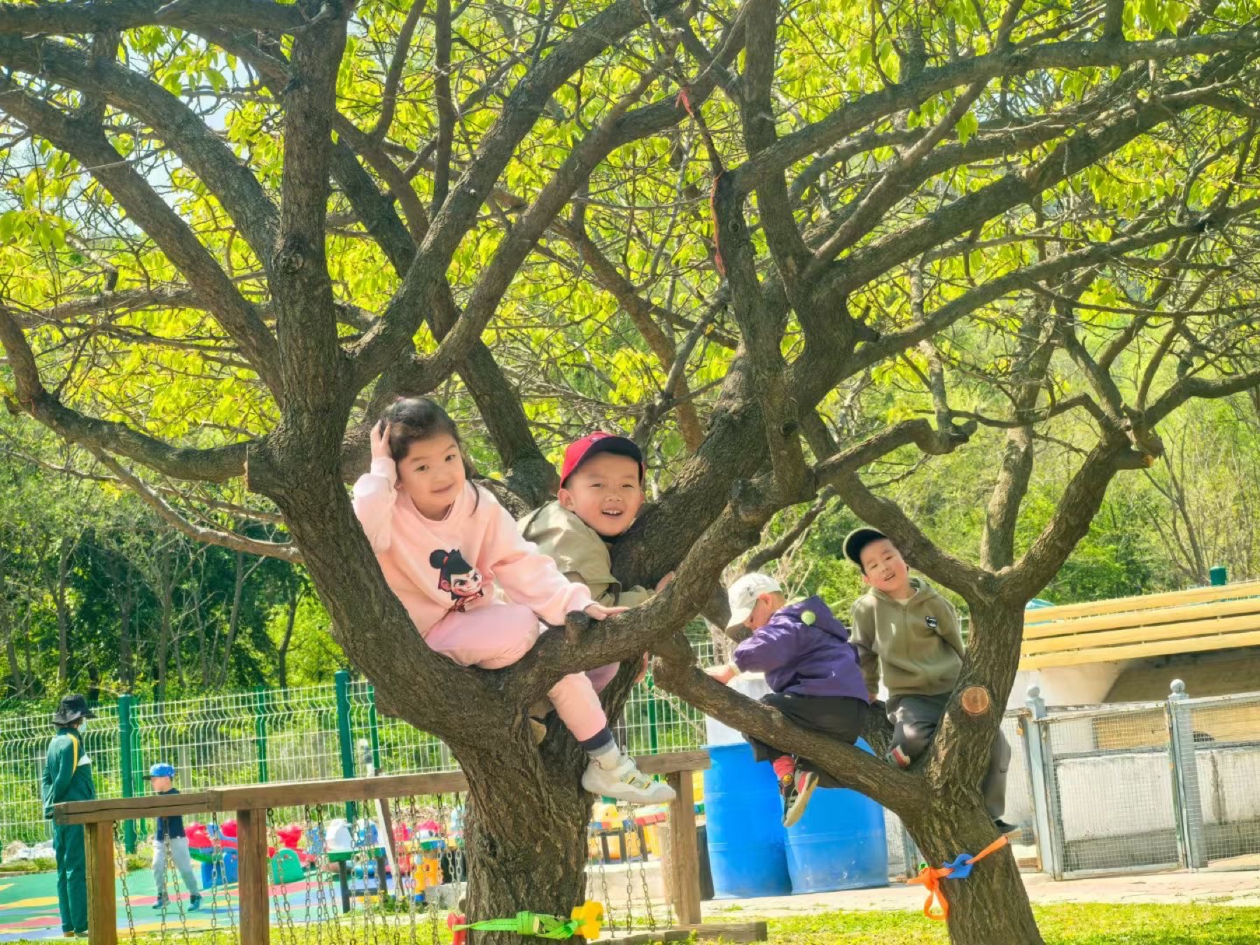 森林教育户外环境